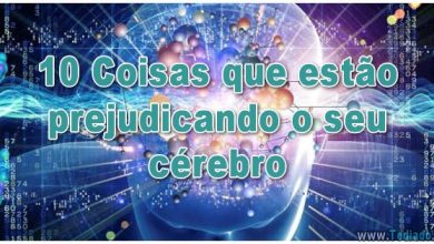 10 Coisas que estão prejudicando o seu cérebro 5