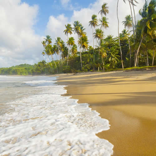 O que você prefere #09 – Dia ou Noite 1