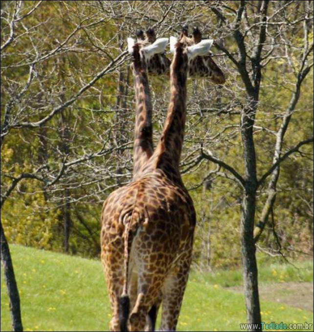 fotos-egracadas-que-angulos-correto-14