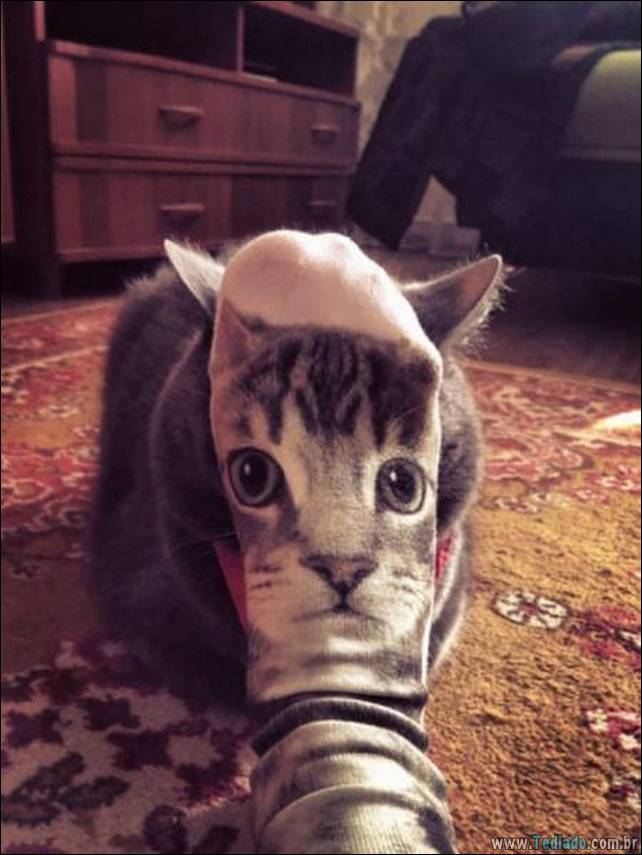 fotos-egracadas-que-angulos-correto-24