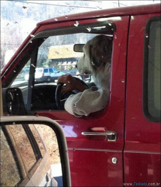 fotos-egracadas-que-angulos-correto-27