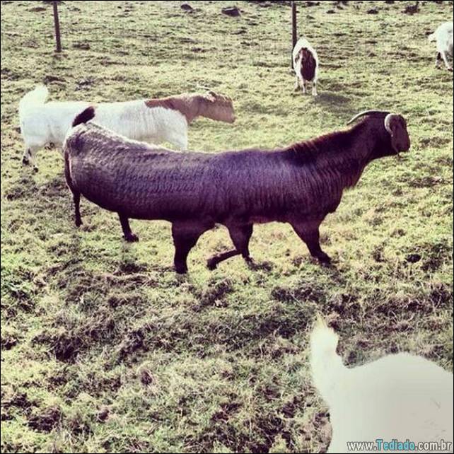 fotos-panoramicas-03