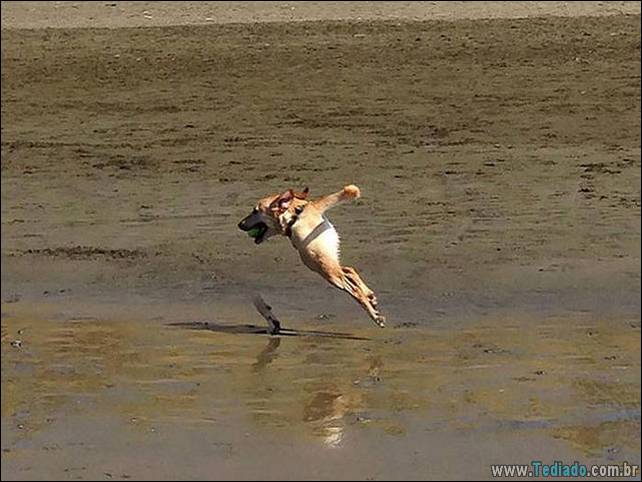 fotos-panoramicas-10