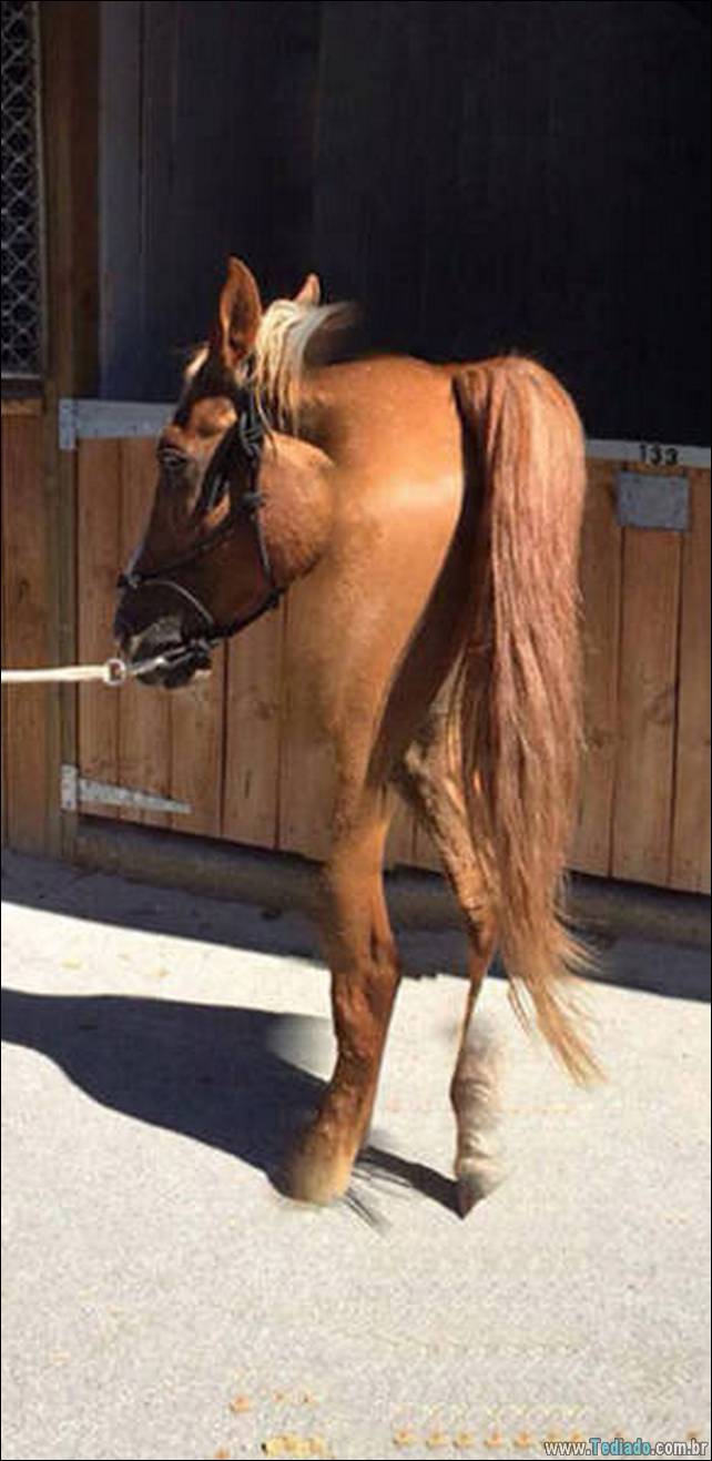 fotos-panoramicas-17