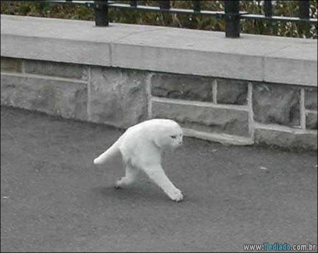 fotos-panoramicas-26