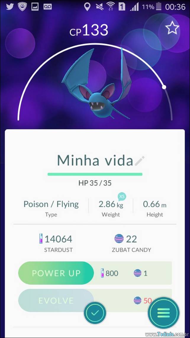 20 nomes criativo para seus pokémons no Pokemon GO