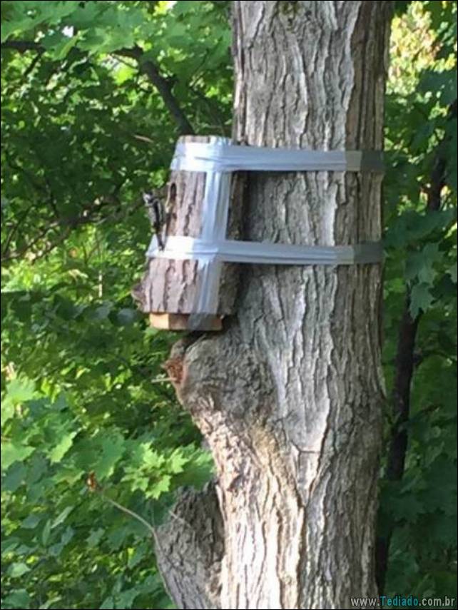 pessoas-inteligentes-e-criatividade-21