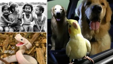 13 tipos de amigos que todo mundo tem 9