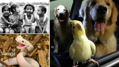 13 tipos de amigos que todo mundo tem 6