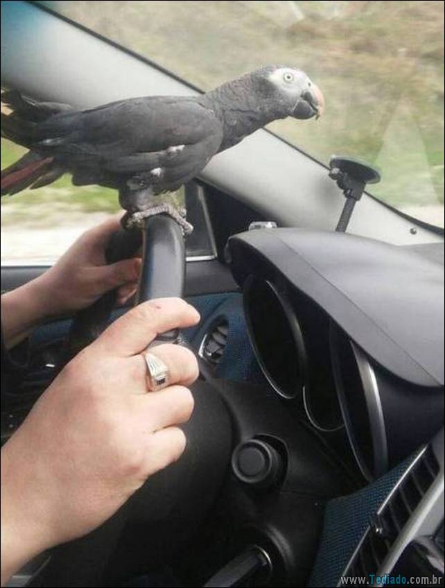 arte-de-deixar-a-mamae-05