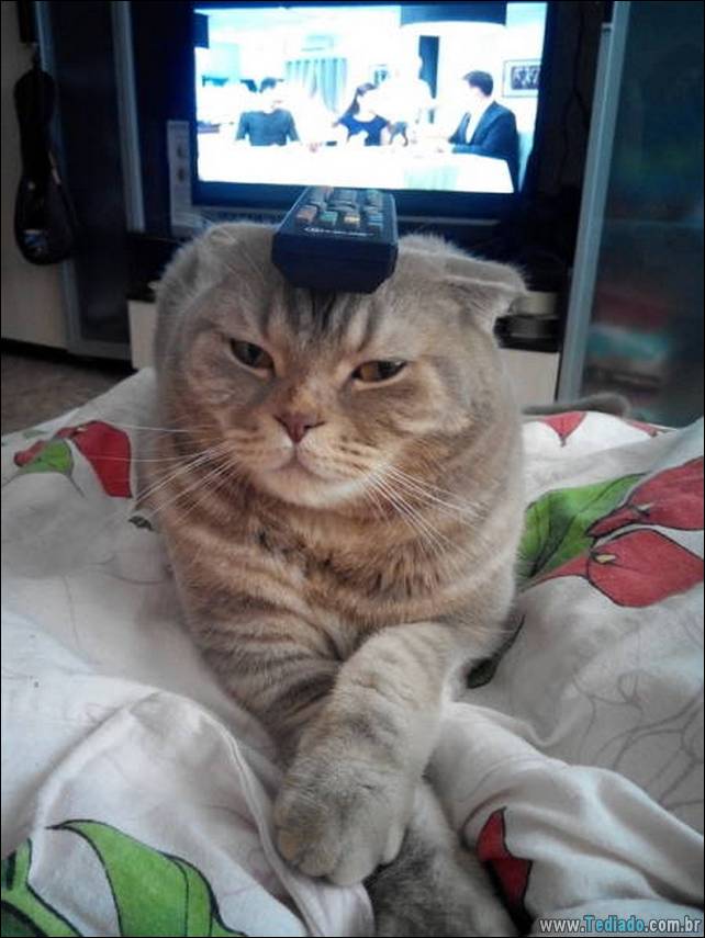 arte-de-deixar-a-mamae-11