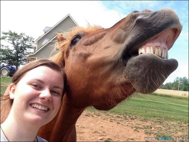 arte-de-deixar-a-mamae-13