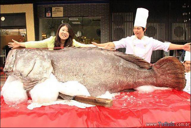 coisas-loucas-grandes-mundo-02