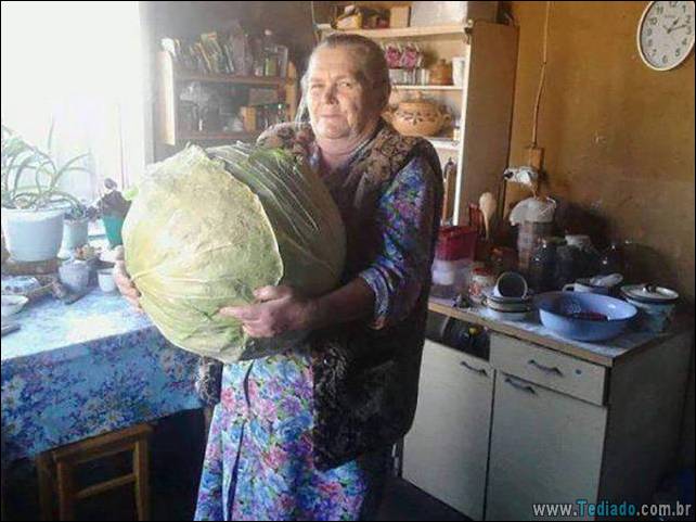 coisas-loucas-grandes-mundo-12