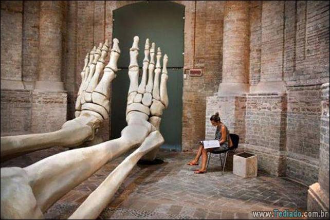 coisas-loucas-grandes-mundo-19