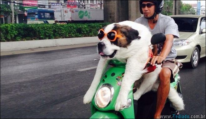 coisas-malucas-moto-03