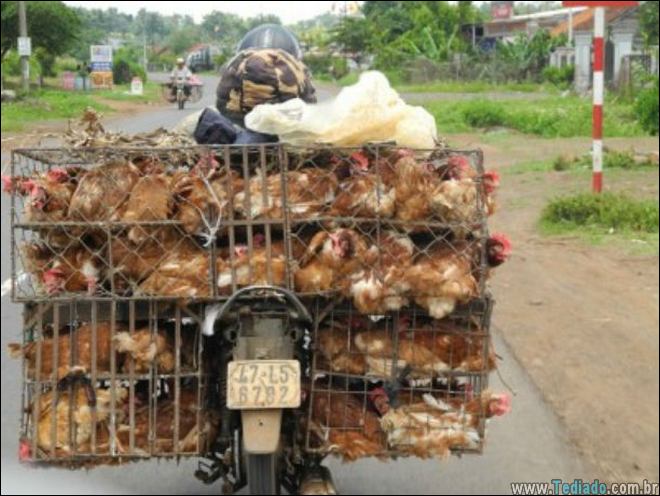 coisas-malucas-moto-04