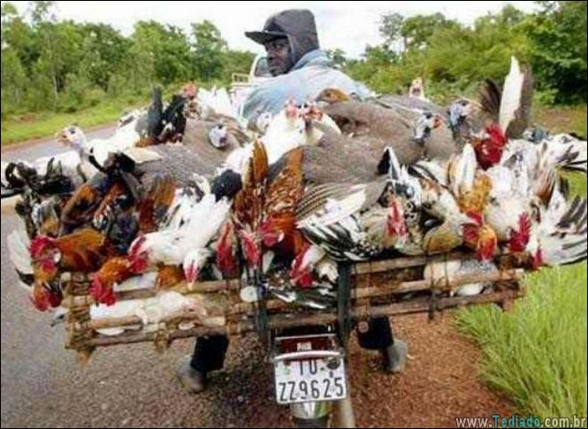 coisas-malucas-moto-13