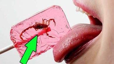 10 doces mais bizarros do mundo 8