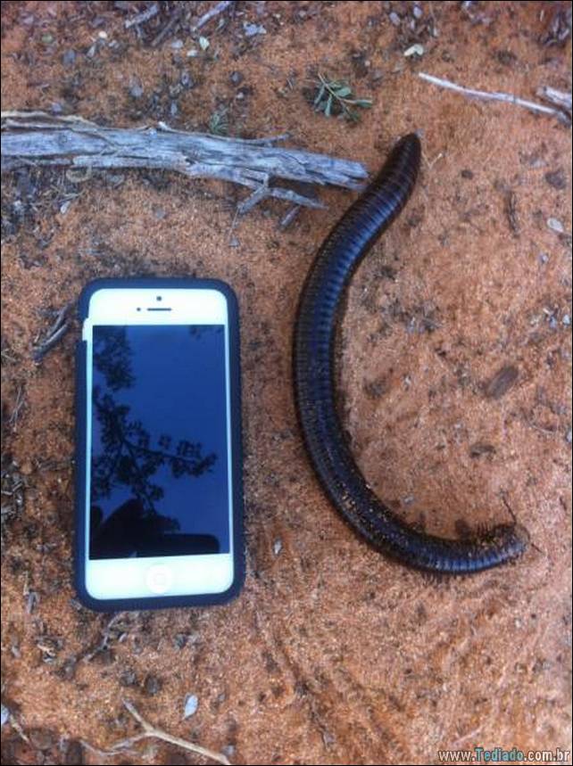 eu-nao-sei-nem-por-explicar-fotos-05