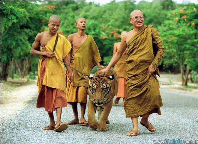 fotos-que-voce-nao-ver-todos-os-dias-09