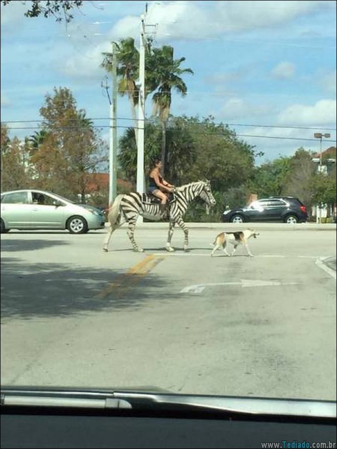 fotos-que-voce-nao-ver-todos-os-dias-17