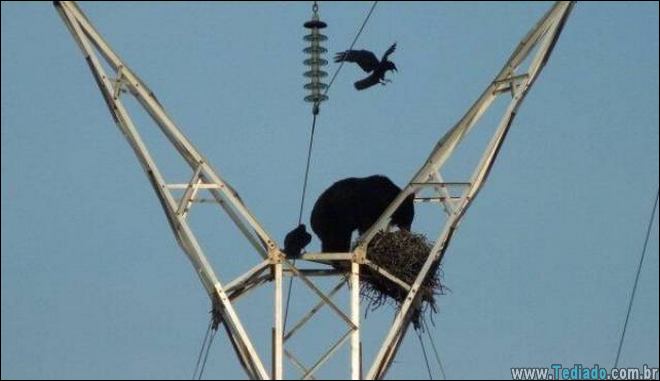 fotos-que-voce-nao-ver-todos-os-dias-19