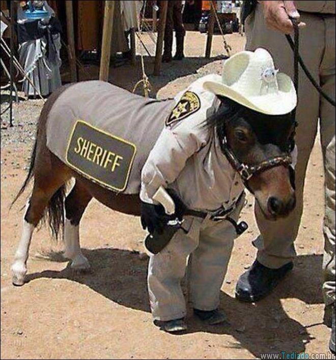 fotos-que-voce-nao-ver-todos-os-dias-21