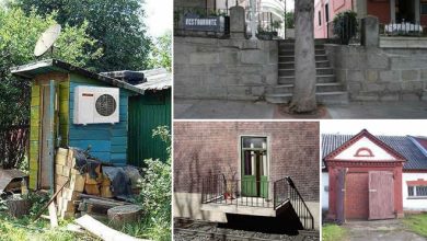 28 pessoas que são grandes gênios ou não 6