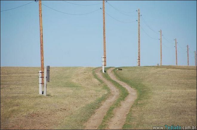 humanos-sao-genios-04