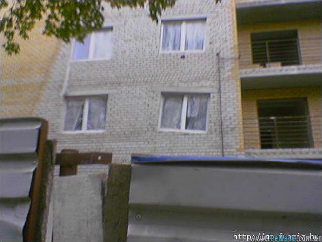 humanos-sao-genios-10