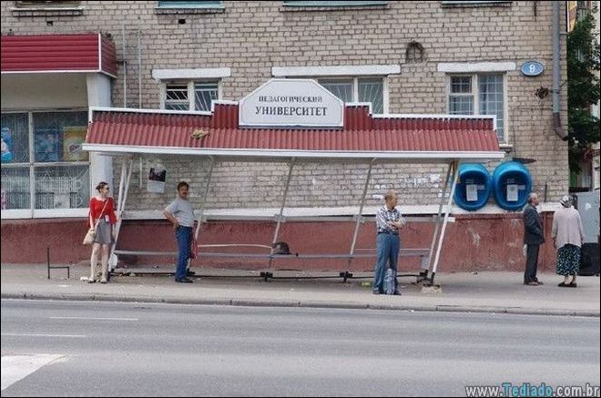 humanos-sao-genios-24