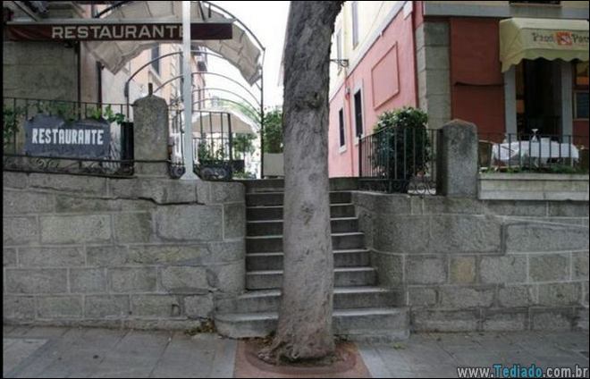 humanos-sao-genios-26