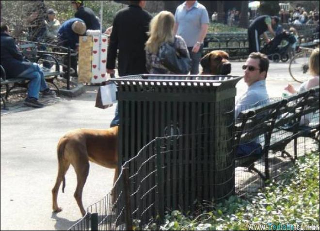 uma-grande-falha-matrix-06