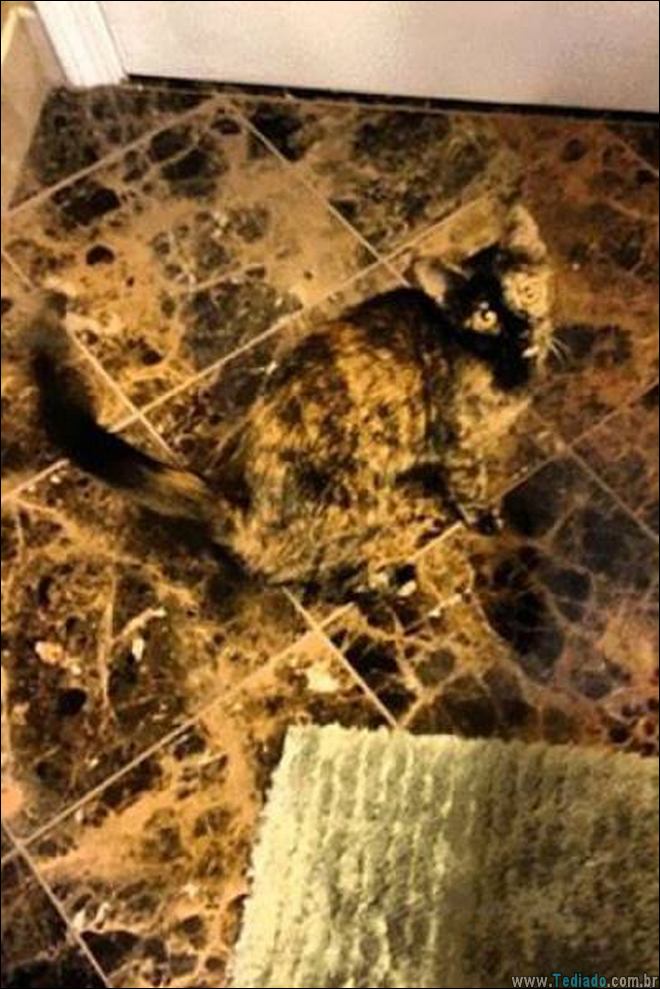 uma-grande-falha-matrix-20