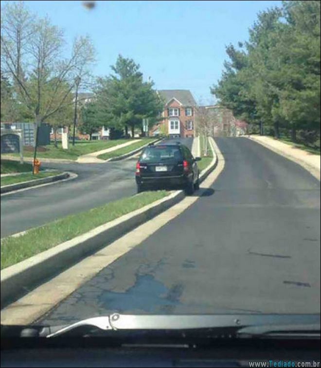 A estupidez é realmente forte com essas pessoas (23 fotos) 19 a-estupidez-e-forte-19