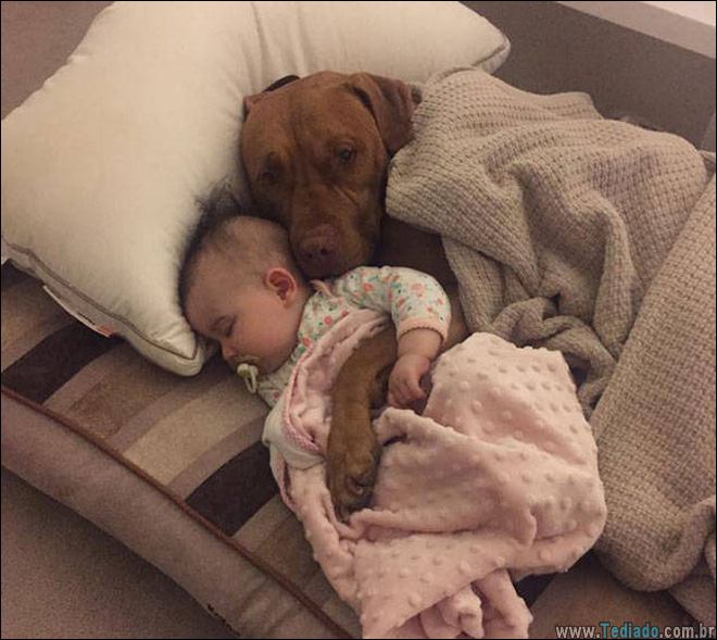 a-vida-consiste-belos-momentos-01