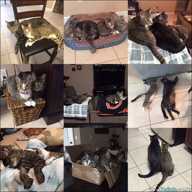 a-vida-consiste-belos-momentos-03