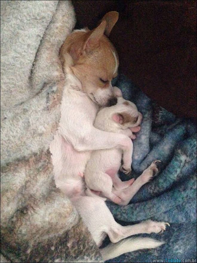 a-vida-consiste-belos-momentos-04