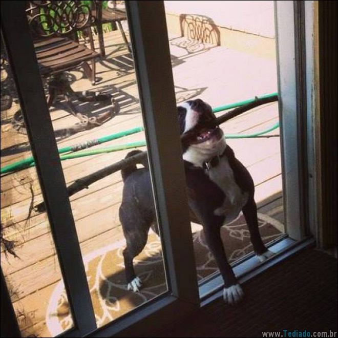 a-vida-consiste-belos-momentos-12