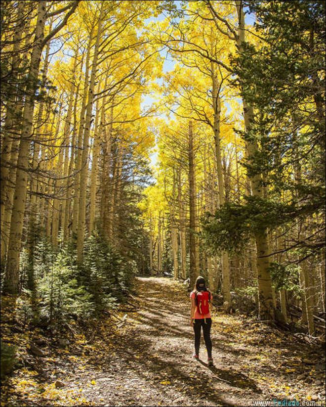 a-vida-consiste-belos-momentos-14