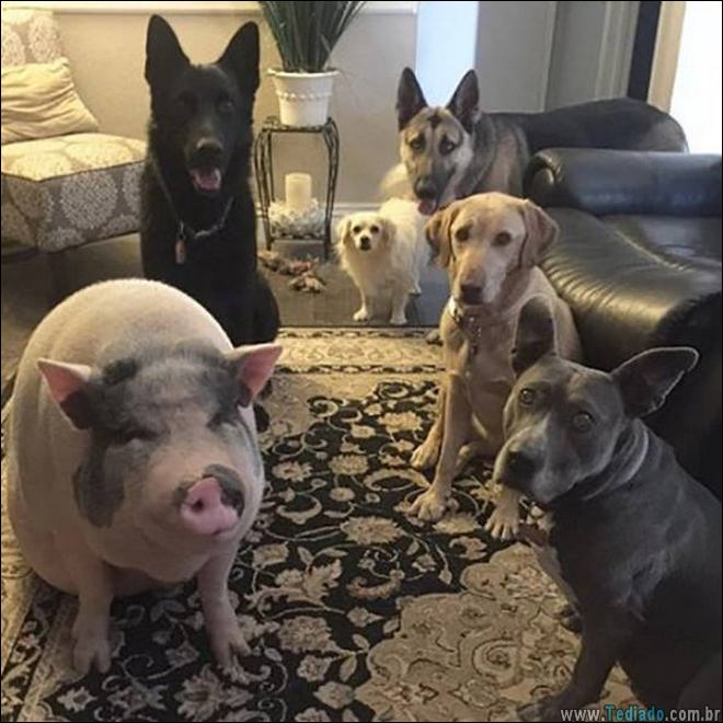 a-vida-consiste-belos-momentos-15