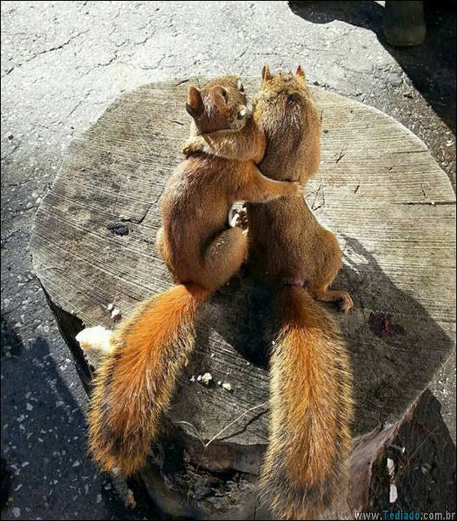 a-vida-consiste-belos-momentos-17