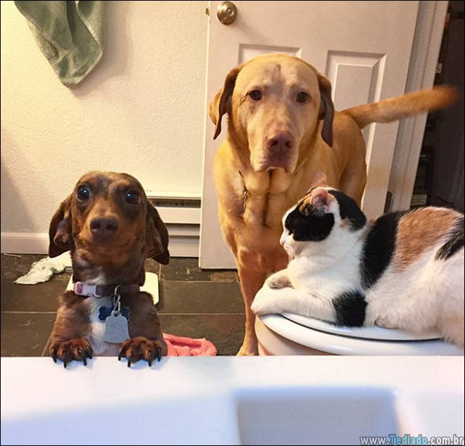 a-vida-consiste-belos-momentos-24