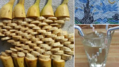 A incrível arte de Adam Hillaman que é agradável de ver (29 fotos) 9
