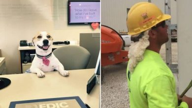 14 momentos bons e hilários no trabalho 39