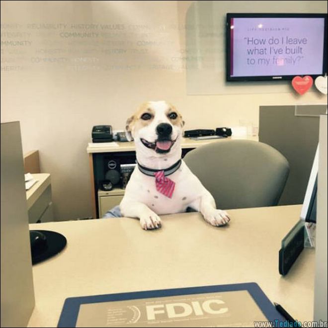 bons-momentos-e-hilarios-02