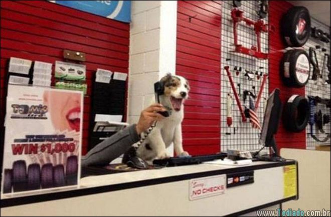 bons-momentos-e-hilarios-11