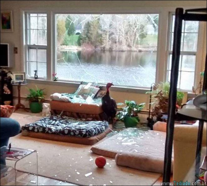 coisas-acotencem-lutar-09