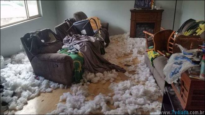 coisas-acotencem-lutar-11